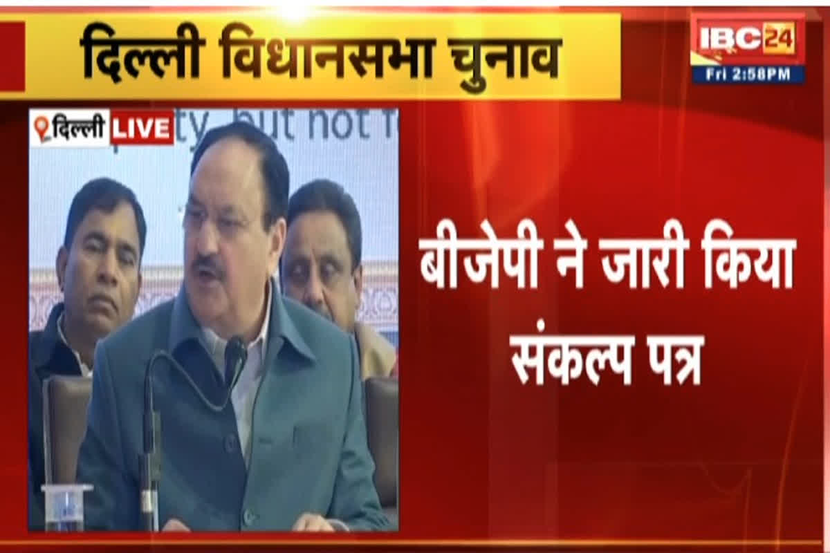 Pension Scheme For Senior Citizens: बीजेपी ने वरिष्ठ नागरिकों के लिए खोला पिटारा, हर महीने मिलेगा इतना पेंशन, यहां देखें संकल्प पत्र की अहम बातें