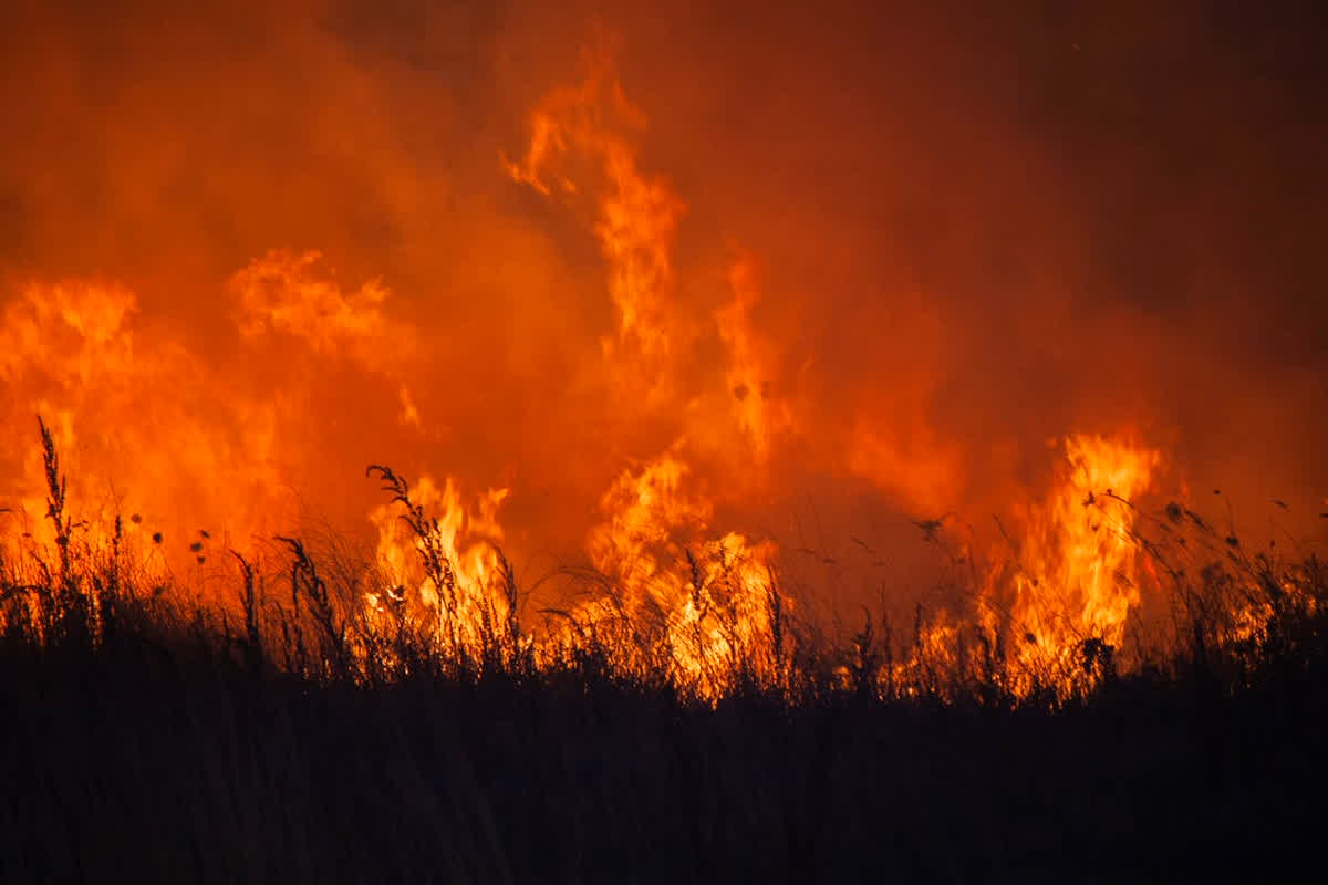 Los Angeles Fire Update: लॉस एंजिल्स में अब इस जगह आग ने लिया विकराल रूप, 50 हजार से ज्यादा लोगों को जगह खाली करने का आदेश, दी गई ये चेतावनी