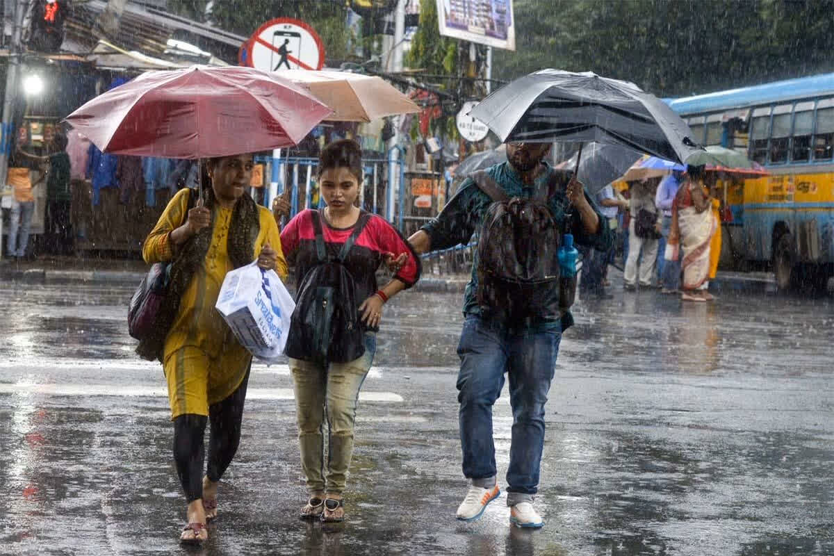 Mp Weather News : MP के कई जिलों में सुबह से छाया कोहरा, ग्वालियर चंबल क्षेत्र में बारिश का अलर्ट, कल से बढ़ेगी ठंड