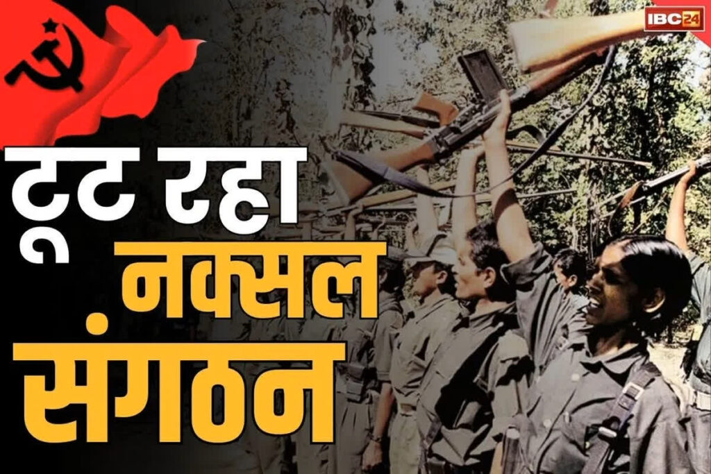 Bijapur Naxalites Surrender Latest News