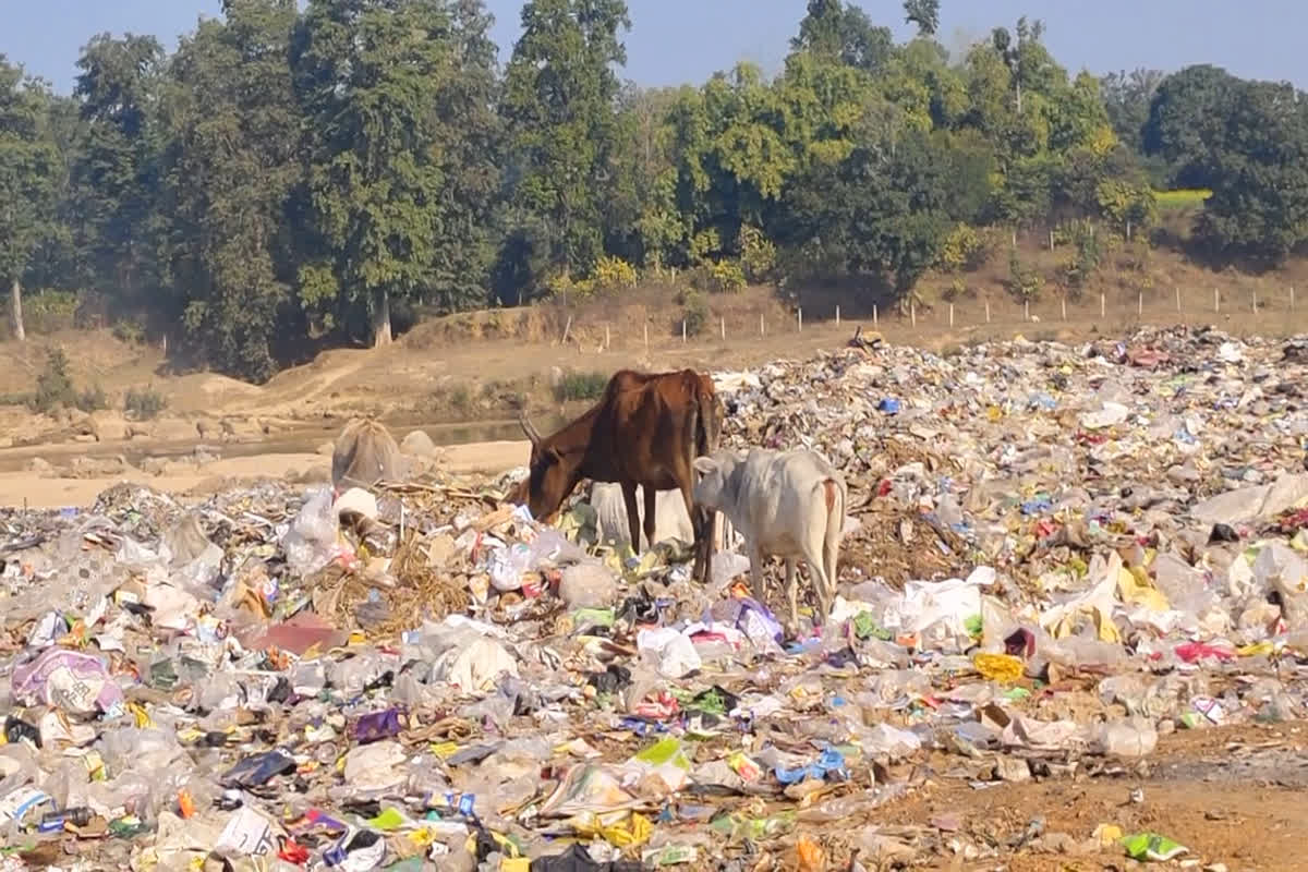 Ramanujganj News : महिला समूहों की मेहनत पर अधिकारी फेर रहे पानी, अब लोग भी इस लापरवाही से परेशान