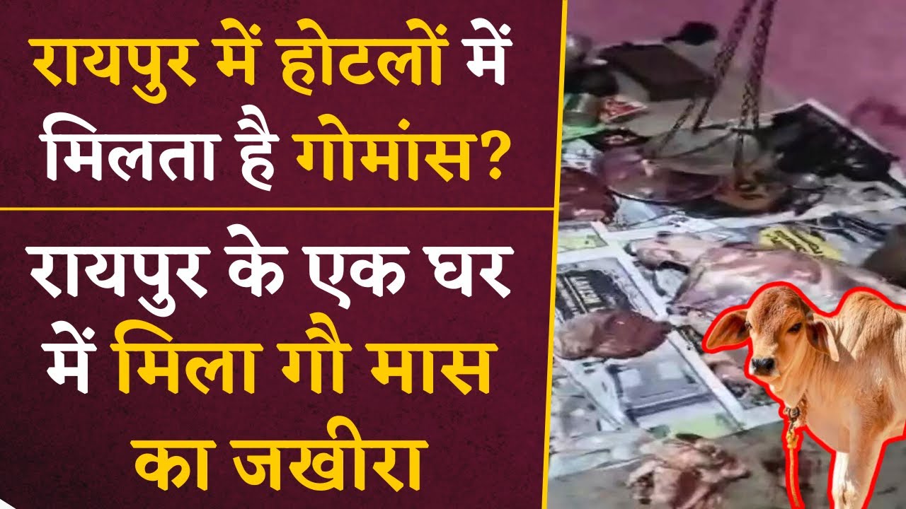 बड़ी खबर: CG-राजधानी के होटलों में मिलता है गौ- मांस? Raipur के मोमीन-पारा में मिला गौ-मांस का जखीरा