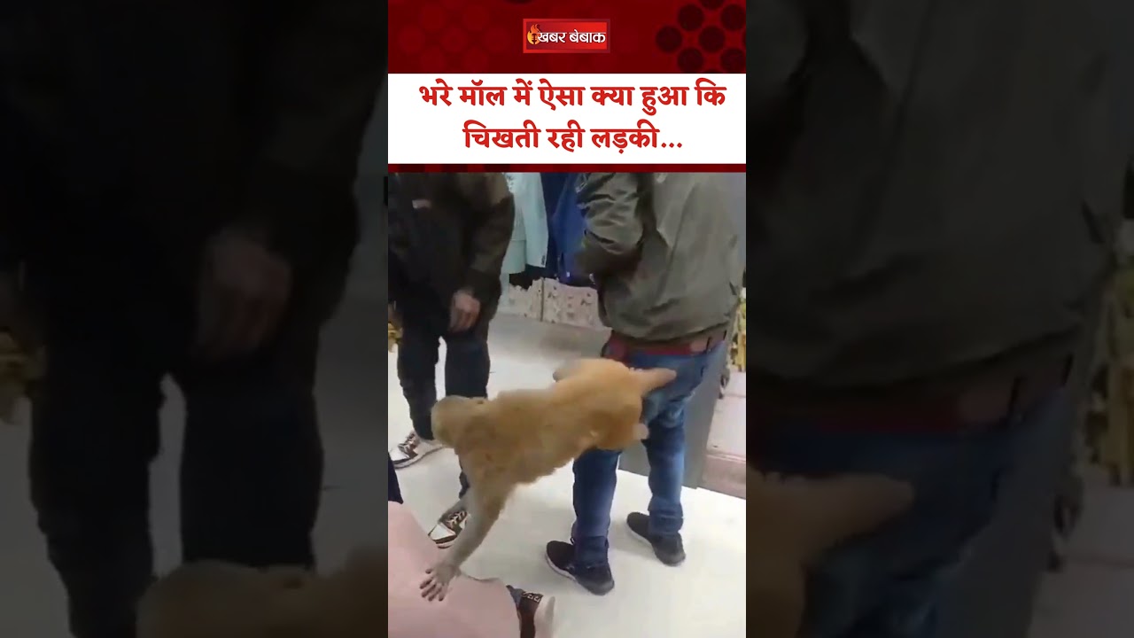 Jhansi के मॉल में बंदर ने एक युवती को जमकर किया परेशान, चीखती नजर आई युवती #viralvideo #ytshorts