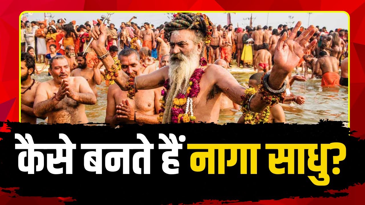 Prayagraj Mahakumbh 2025: कैसे बनते हैं नागा साधु? ये तीन स्टेज से गुजर कर बनते हैं नागा साधु