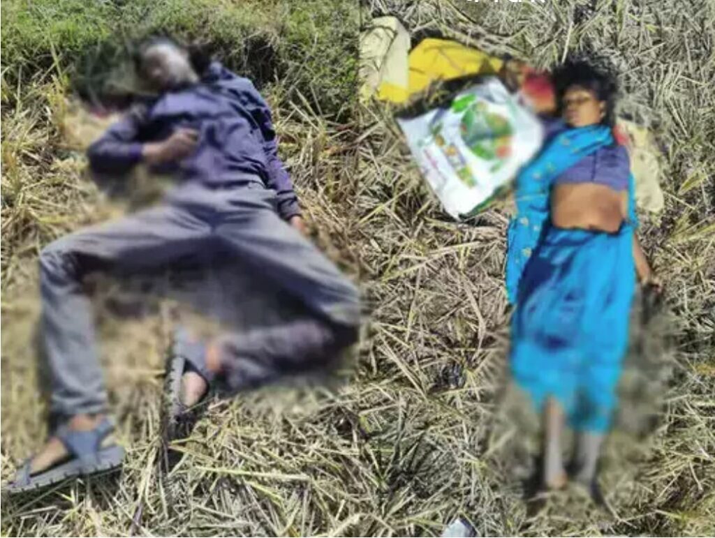 Journalist's family murdered in Chhattisgarh, image source: ibc24