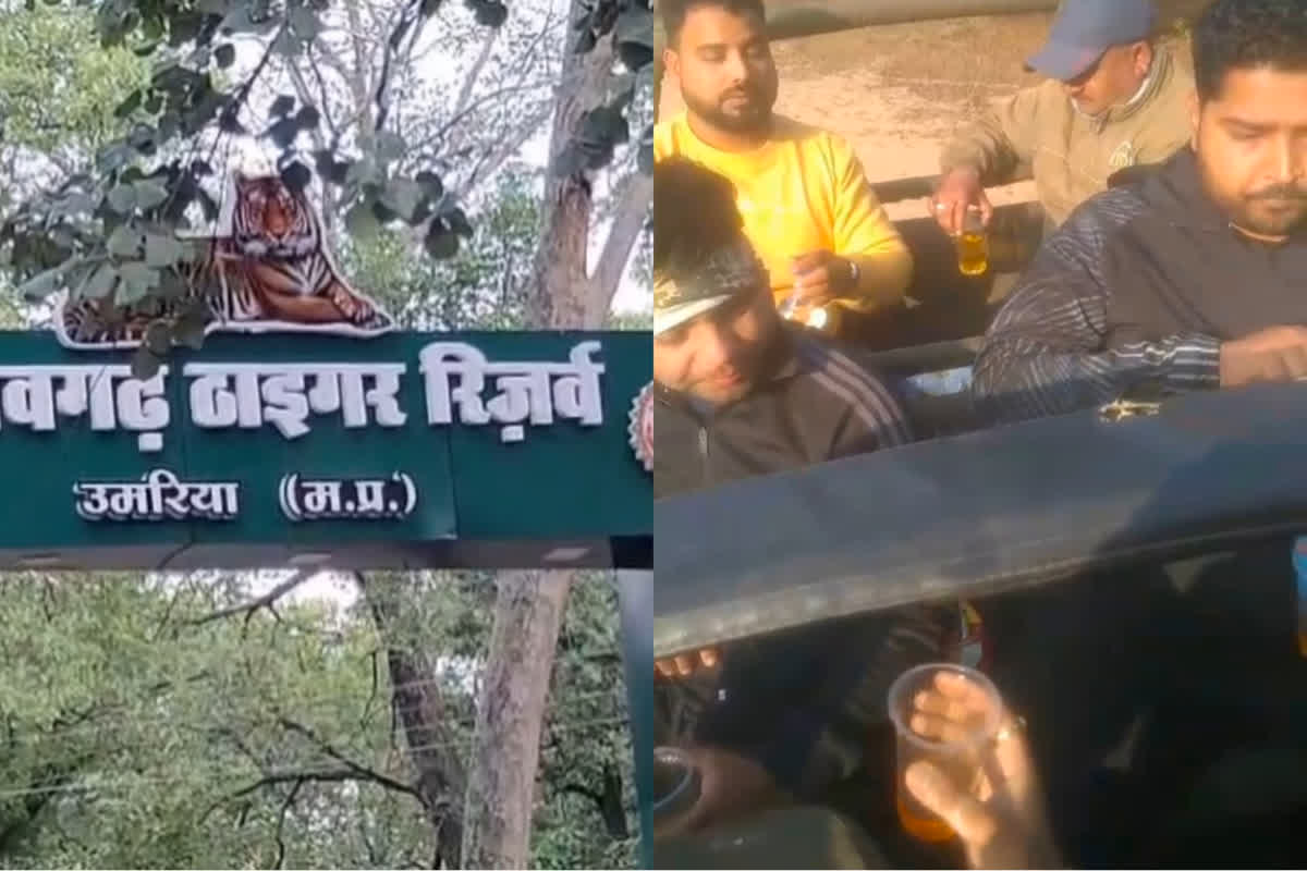 Sharab Party Bandhavgarh Tiger Reserve: टाइगर रिजर्व में पर्यटकों ने खुलेआम किया ऐसा काम, वीडियो वायरल होते ही मचा हड़कंप, ड्राइवर और गाइड को नोटिस