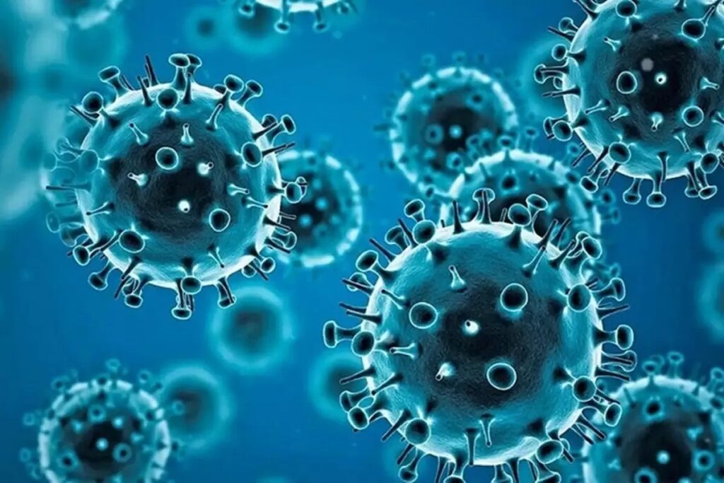 First Case of HMPV Virus in India. Image Source- File