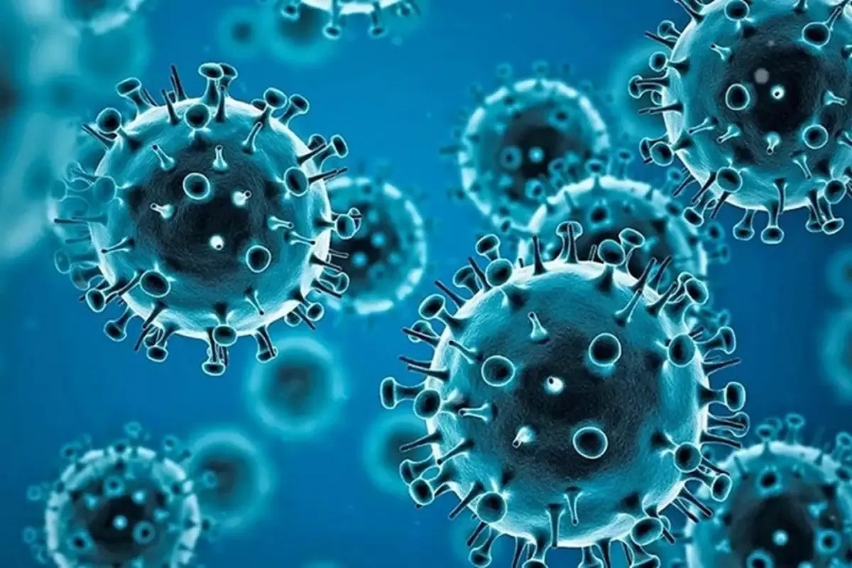 First Case of HMPV Virus in India: चीन में तबाही मचा रहे HMPV वायरस की अब भारत में एंट्री, इस शहर में मिला पहला मरीज, अलर्ट पर स्वास्थ्य विभाग की टीम