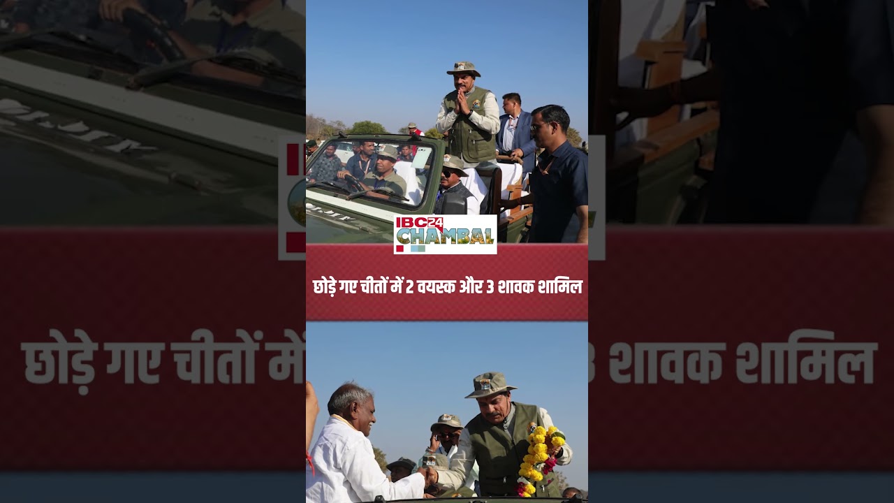 CM Dr Mohan Yadav ने 5 चीतों को दी आजादी |