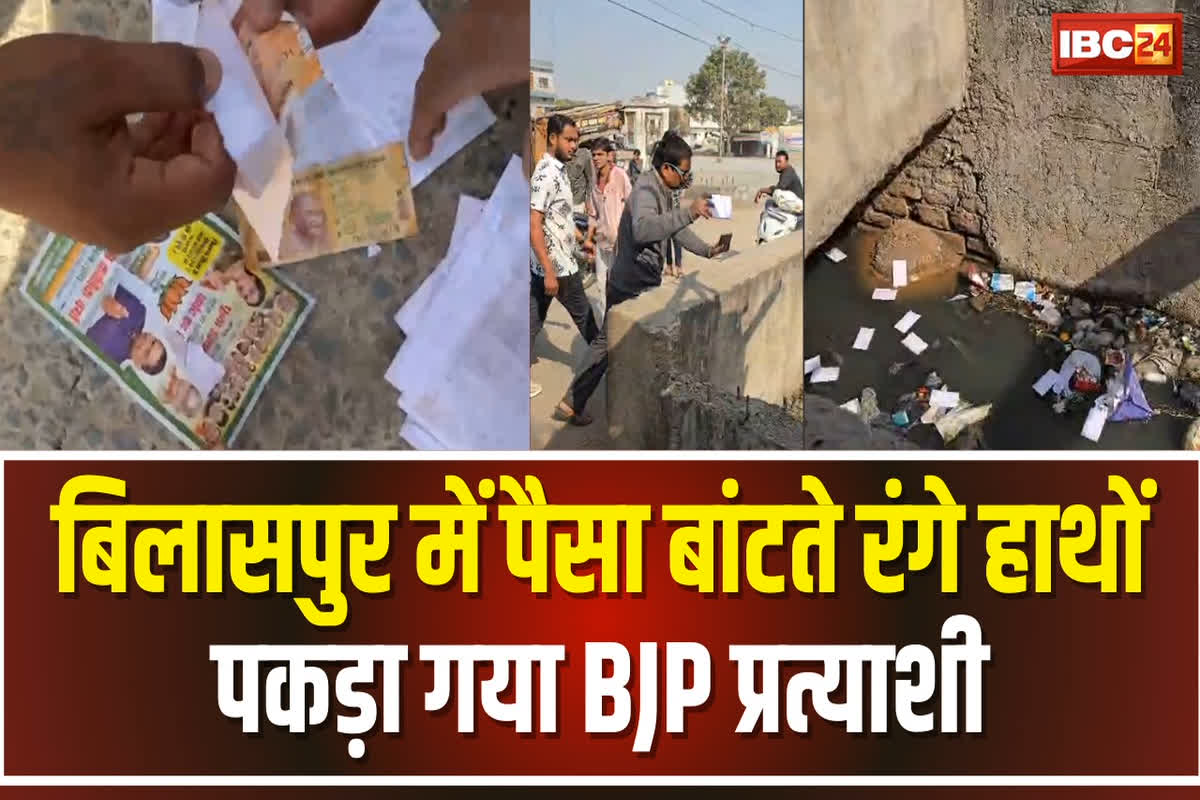 BJP Parshad Candidate Video Viral: मतदान से एक दिन पहले पैसे बांटते पकड़ा गया भाजपा का पार्षद प्रत्याशी / Image Source: IBC24