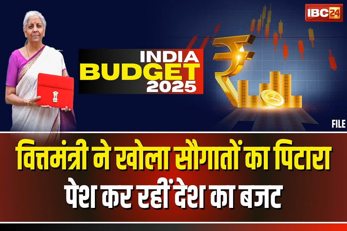 Union Budget 2025: आम बजट में सरकारी स्कूलों और प्राथमिक स्वास्थ्य केंद्रों को मिली बड़ी सौगात, जानें वित्त मंत्री की घोषणाएं