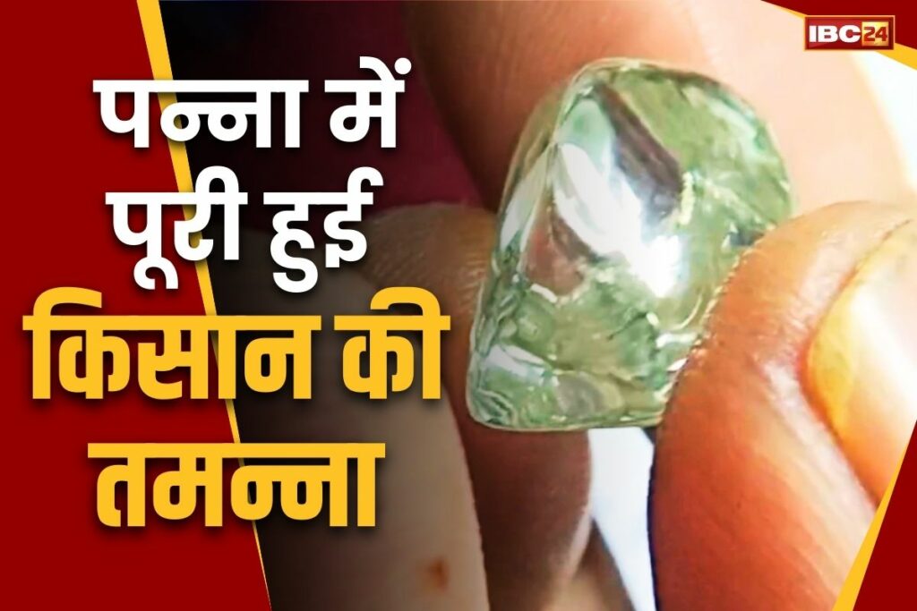 Farmer found a diamond