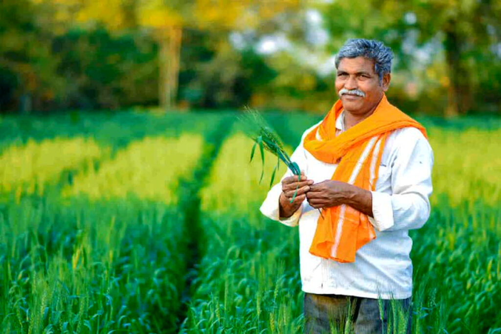 Wheat MSP Increased. Image Source: Symbolic