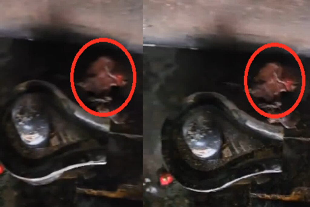 Meat Found In Temple/ Image Credit: Hate Detector X Handle