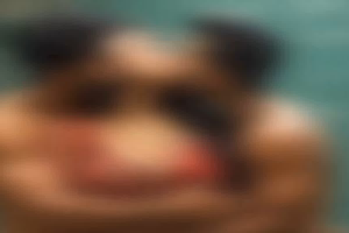 Teacher Romance with Two Students in Classroom: रेड साड़ी वाली मैडम ने क्लासरूम में ही दो छात्रों के साथ एक साथ किया रोमांस, वीडियो वायरल होने के बाद मचा बवाल