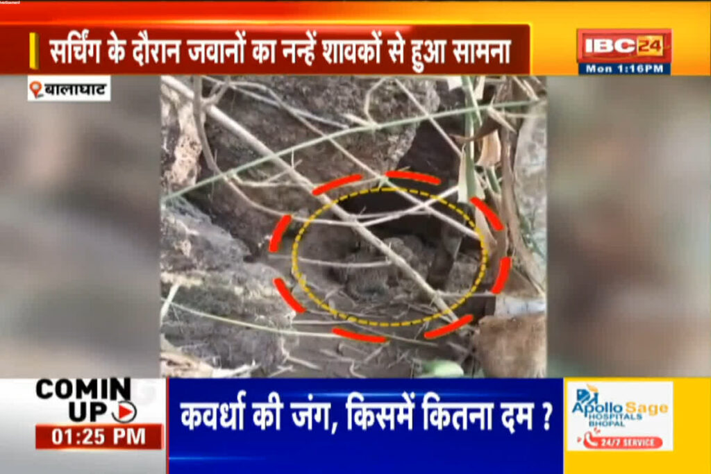 Video Of Leopard Cub : IBC24