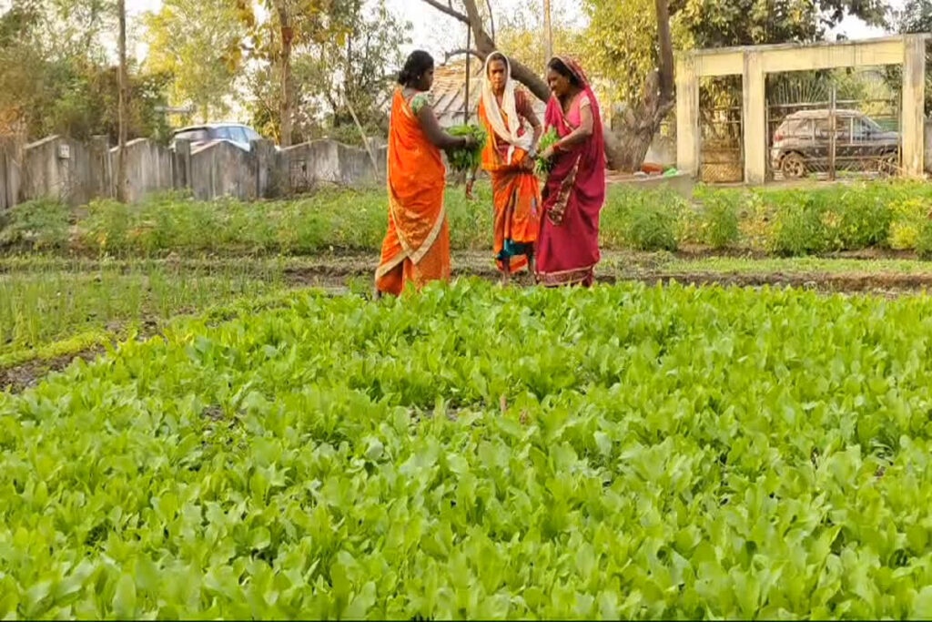 Women's Success Story In Janjgir Champa | Image Source | IBC24