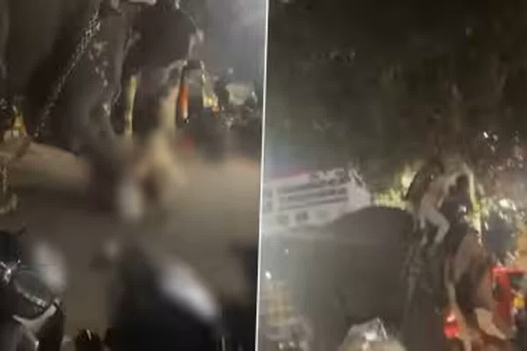 Elephant Attack Video / Image Credit: IANS X Handle