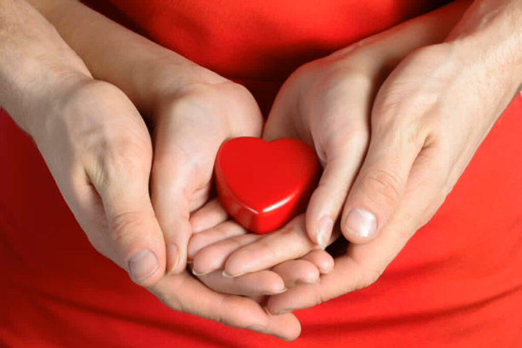 Raipur Organ Donation। Image Credit: Pixabay