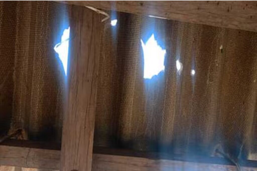 Shahdol Firing/ Image Credit: IBC24