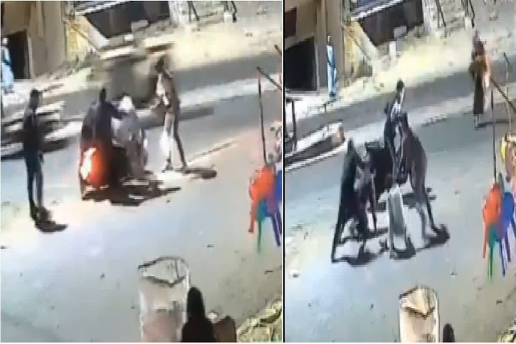 Loot Ka Live Video/ Image Credit: Sachin Gupta X Handle