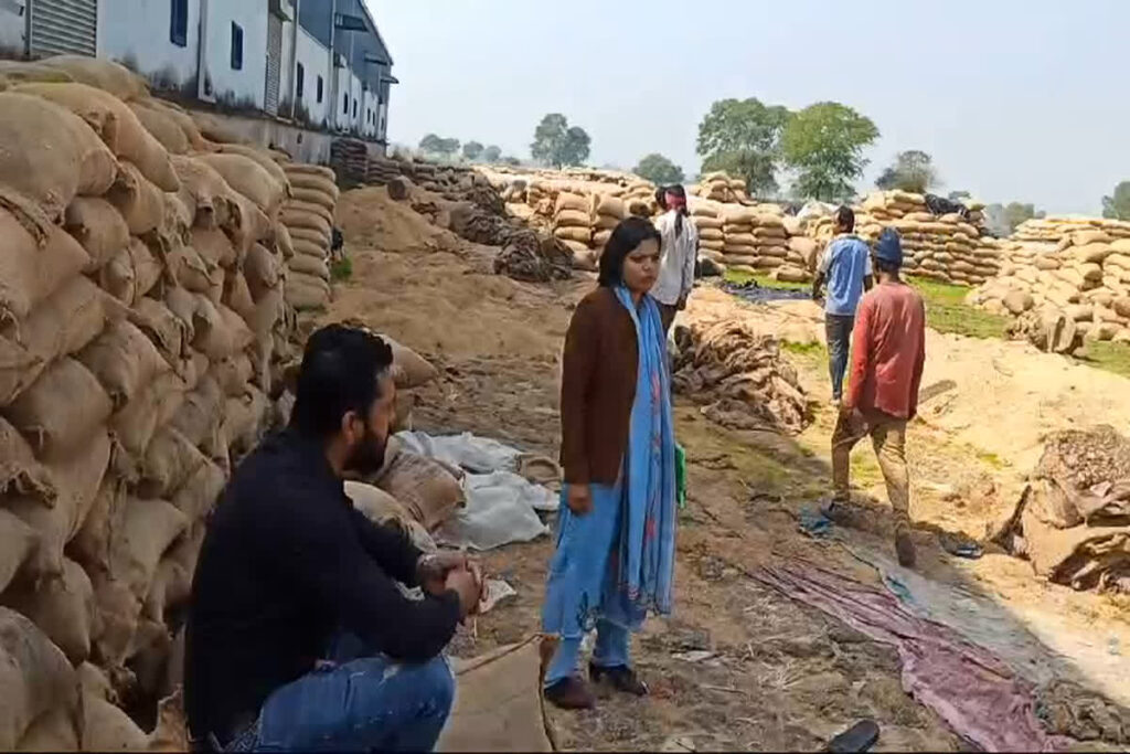 Paddy Scam : Image Source - IBC24