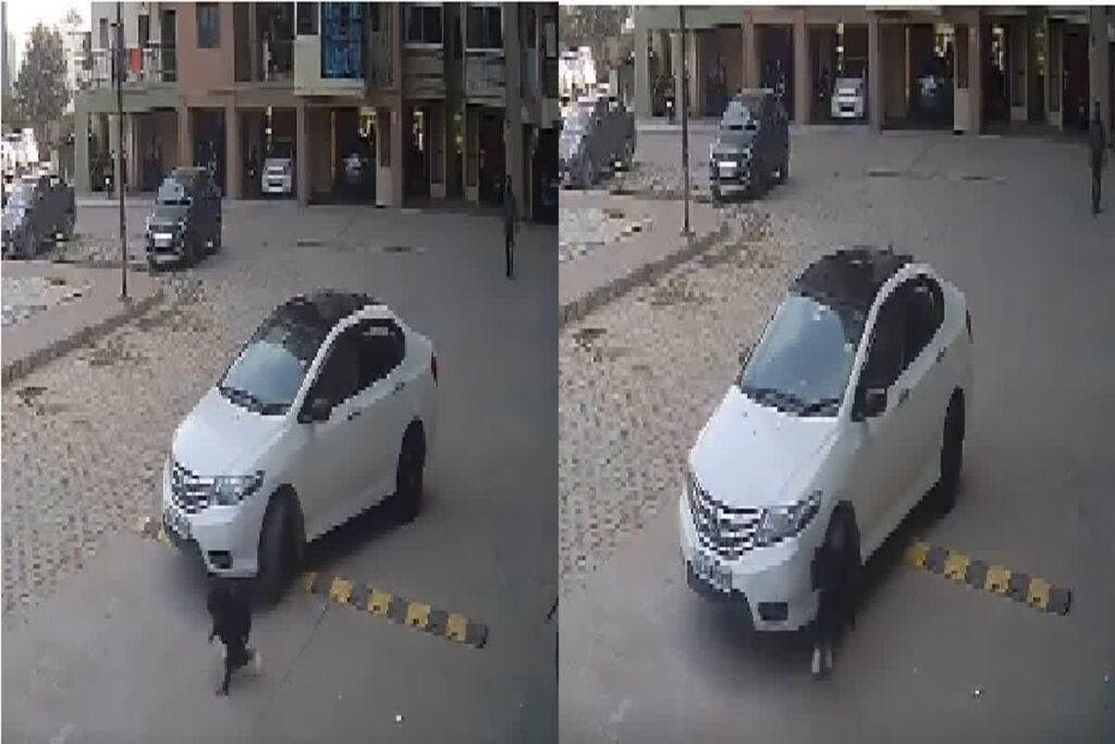 Road Accident Live Video/ Image Credit: Rupesh Verma X Handle