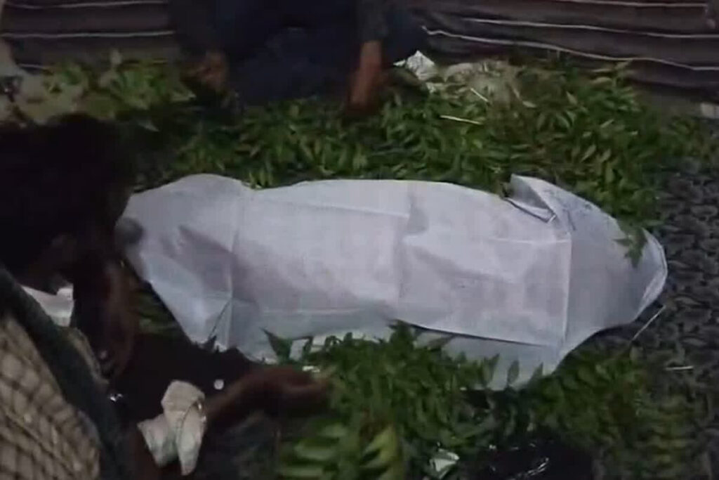 Baloda Bazar News Today : फाइलेरिया की दवा खाने के बाद तीन साल की मासूम की मौत / Image Source: IBC24