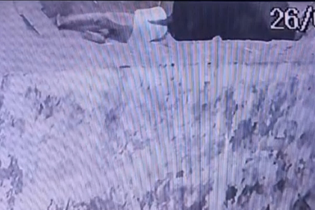 Bhilai Bull Attack Video | Image Source | IBC24