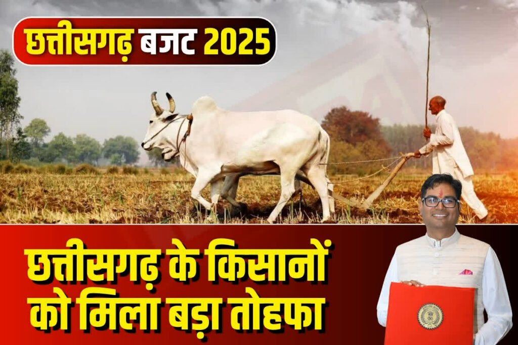 CG Budget For Free Bijli Yojana/ Image Credit: IBC24 Customize