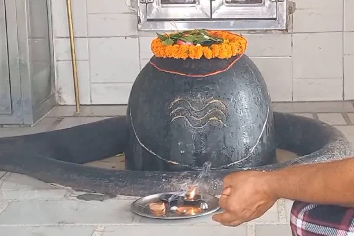 Holika Dahan Story: कही जल न जाएं भगवान शिव के पांव… इस वजह से इस गांव में 6000 साल से नहीं हुआ होलिका दहन, जानिए अद्भुत रहस्य की कहानी