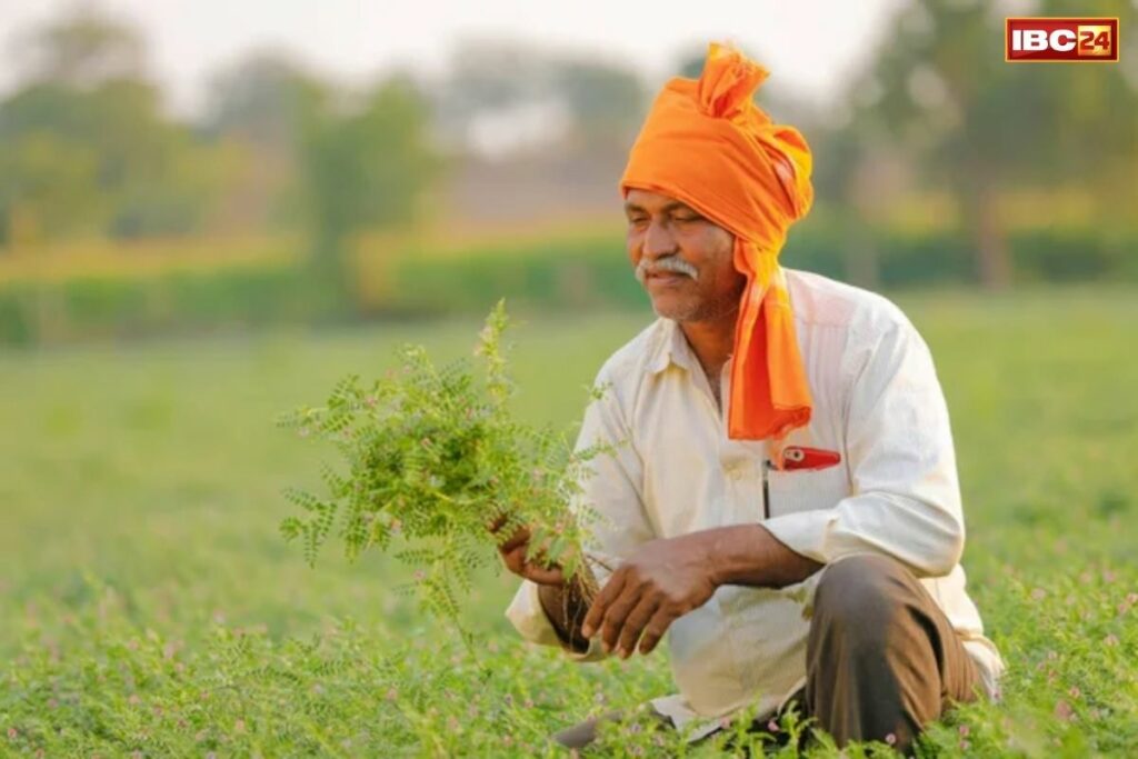 Incentive amount of Rs 4000 to farmers