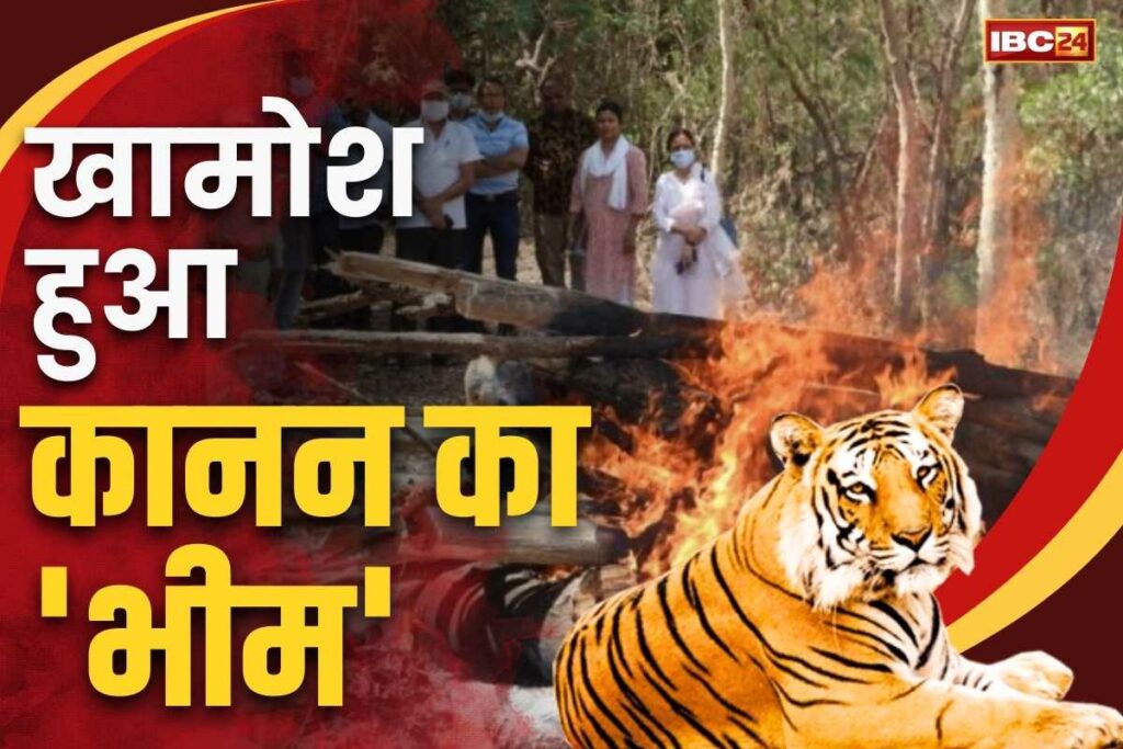 Death of Kanan Pendari's lion Bheem