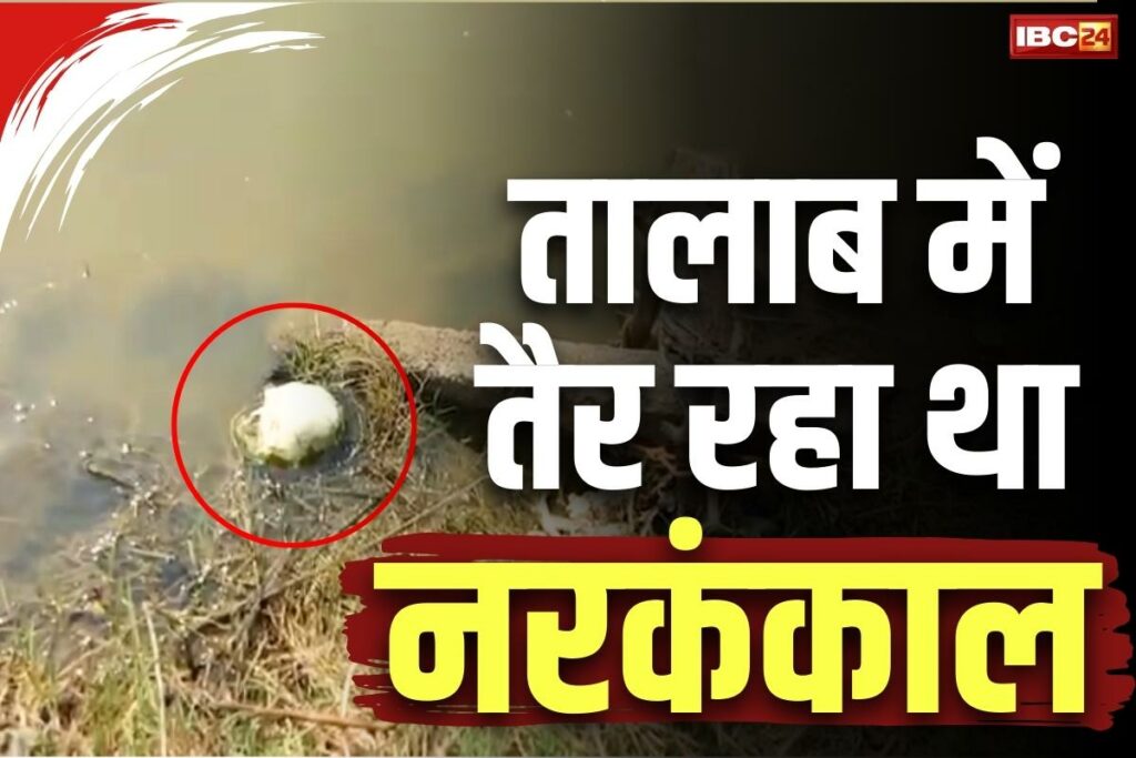 Skeleton Found in Dhamtari