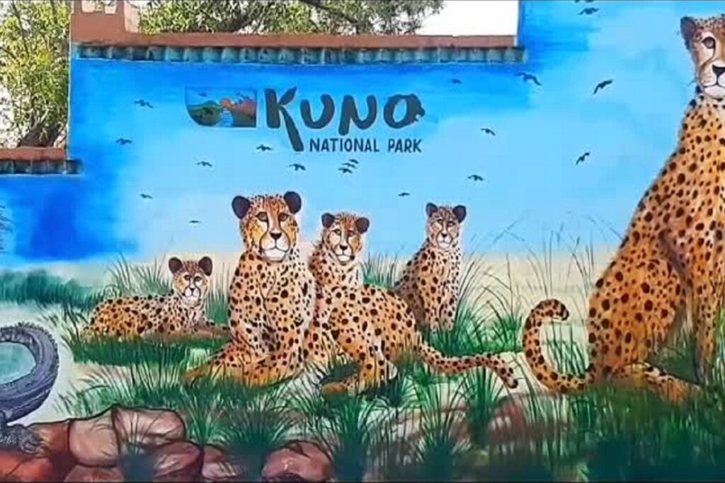 Kuno National Park| Photo Credit: @KunoNationalPrk
