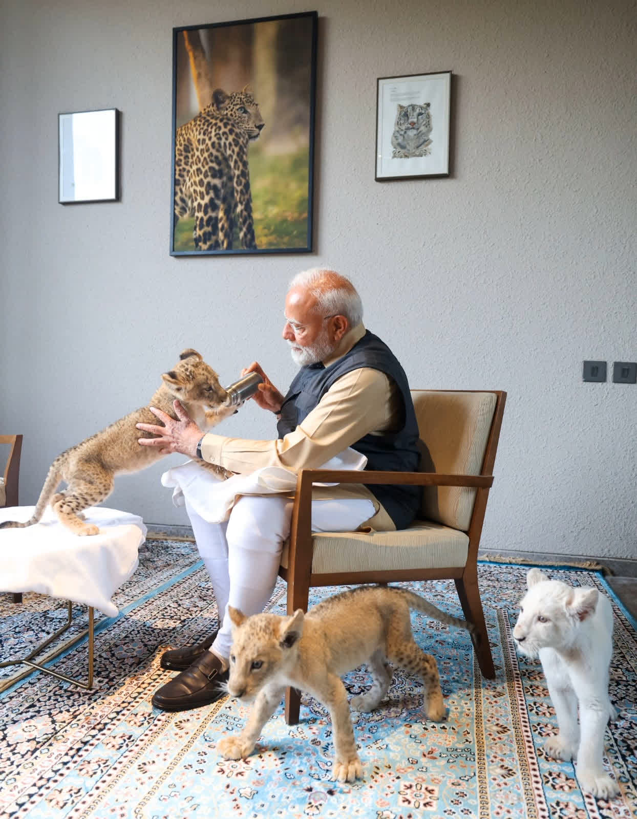 PM Modi Inaugurates 'Vantara'| Photo Credit: @narendramodi
