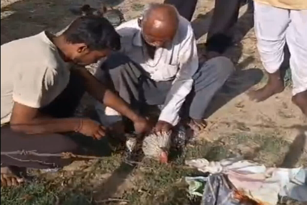 Prostituted Women Statement | Image Source | IBC24