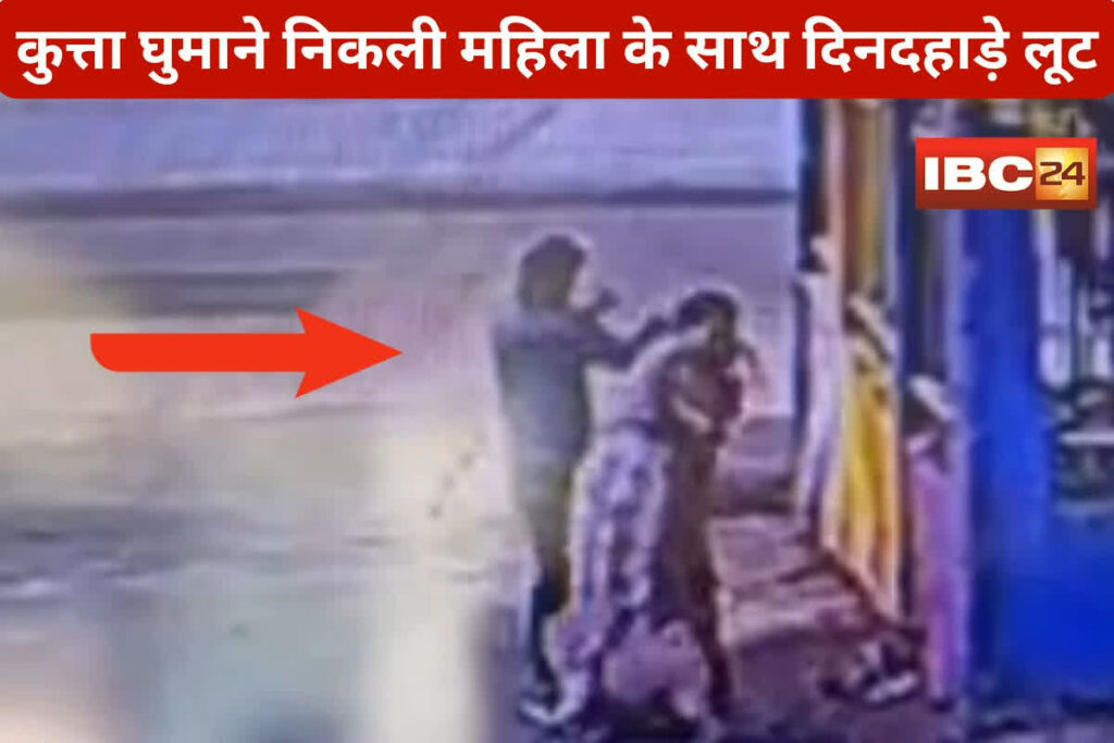 Woman Chain Snatching Video | Image Source | IBC24 Customise