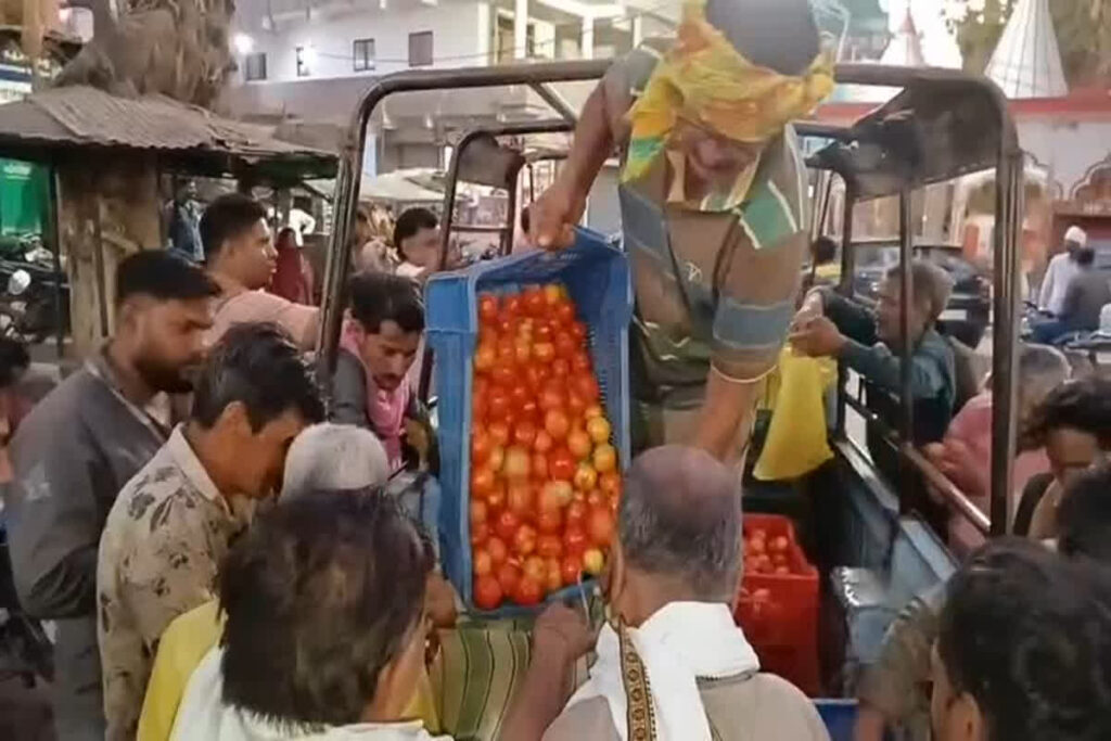 Tomato Prices Fell/ Image Credit: IBC24