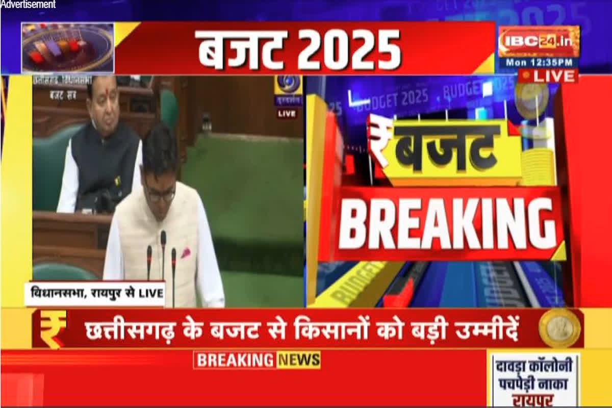 CG Budget 2025: प्रदेश में होगा वीर नारायण सिंह आदिवासी संग्राहालय का निर्माण, वित्त मंत्री ओपी चौधरी ने बजट में किया ऐलान