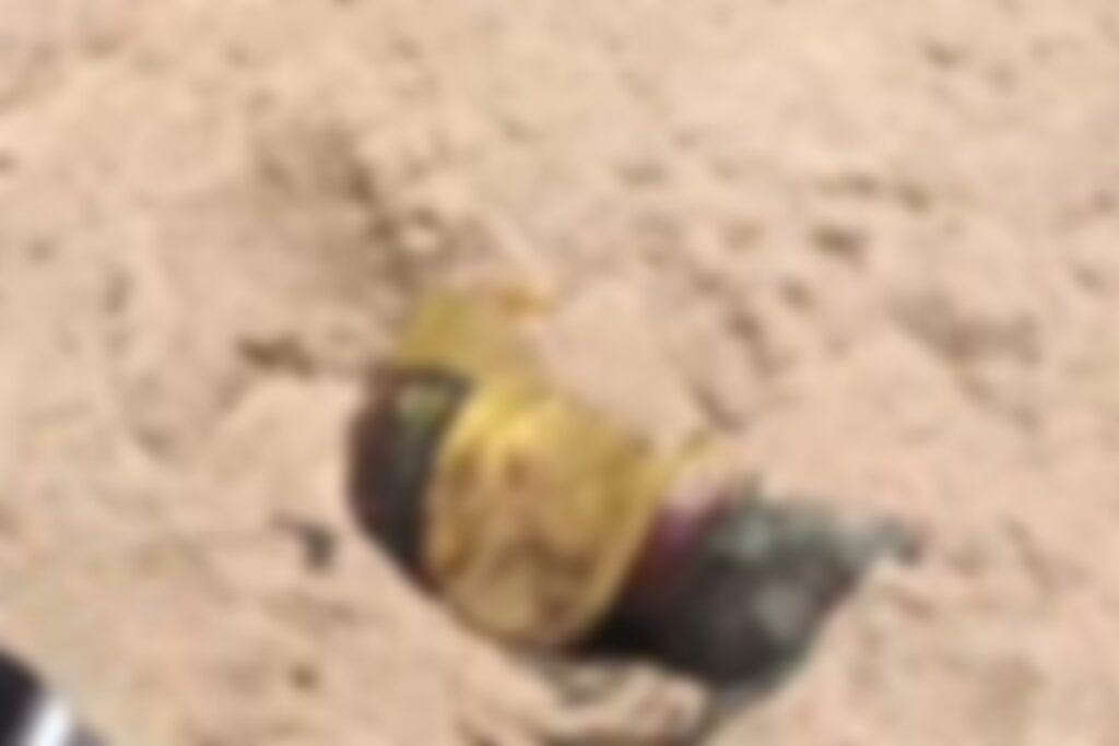 Seoni News/ Image Credit: IBC24