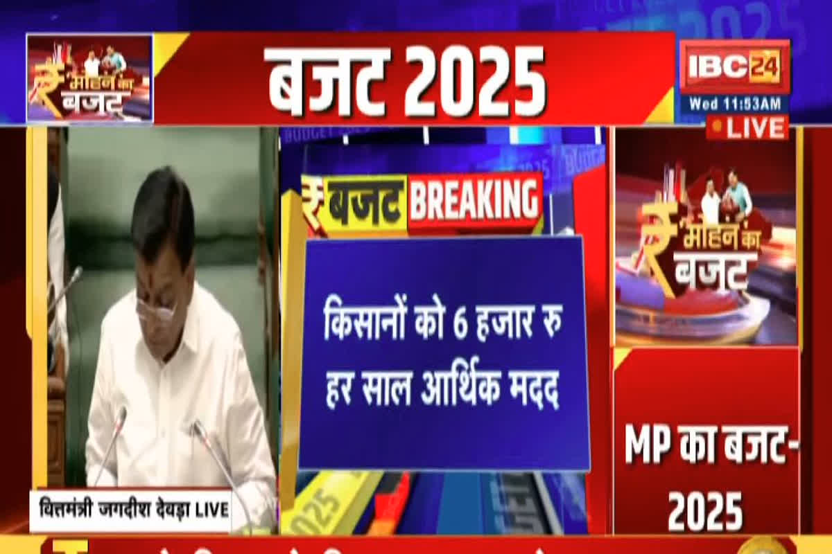 MP Budget 2025 For Farmers/ Image Credit: IBC24 Youtube