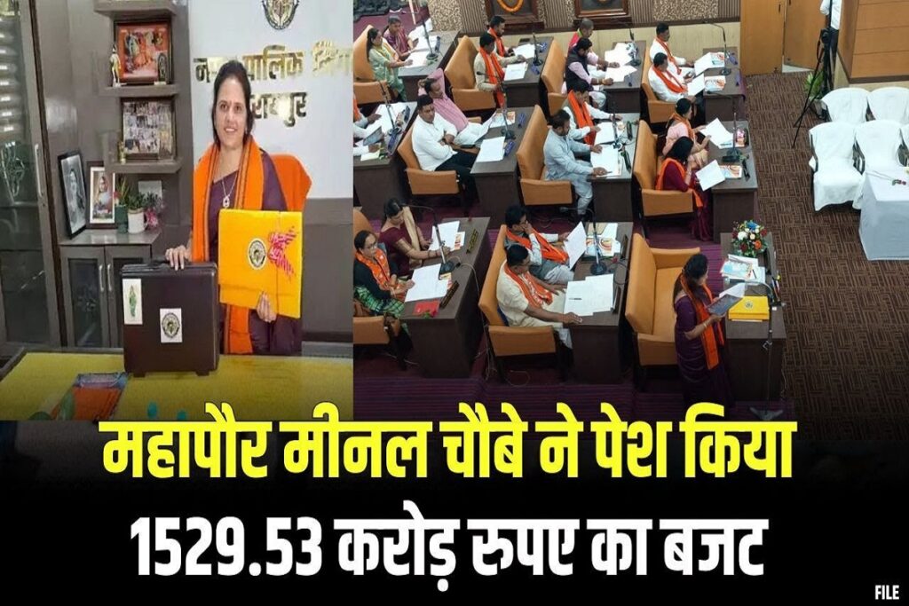 Raipur Municipal Corporation budget, image source: ibc24