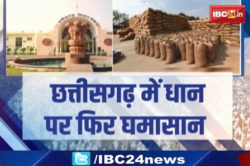 paddy crop in Chhattisgarh, image soruce: ibc24