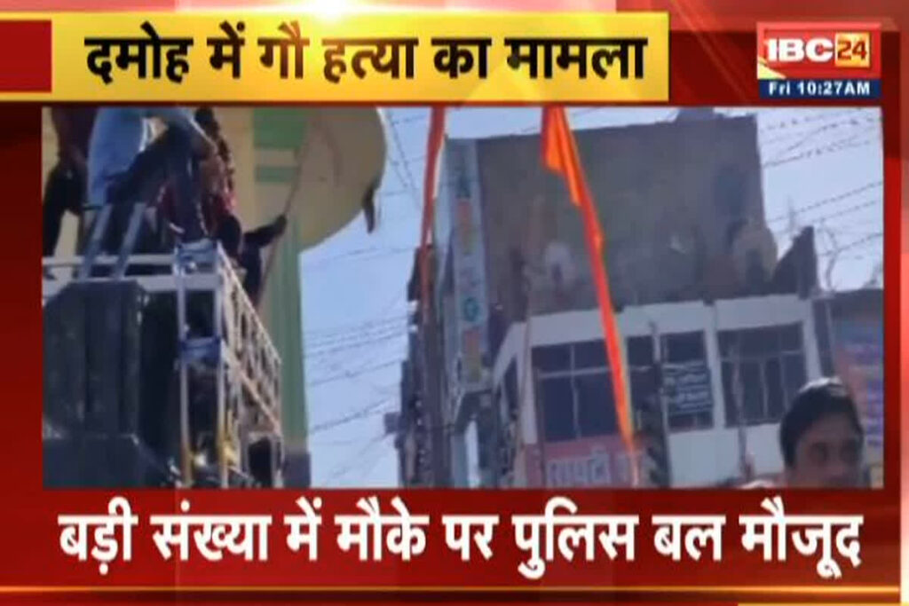 Cow Slaughter in Damoh/ Image Credit: IBC24