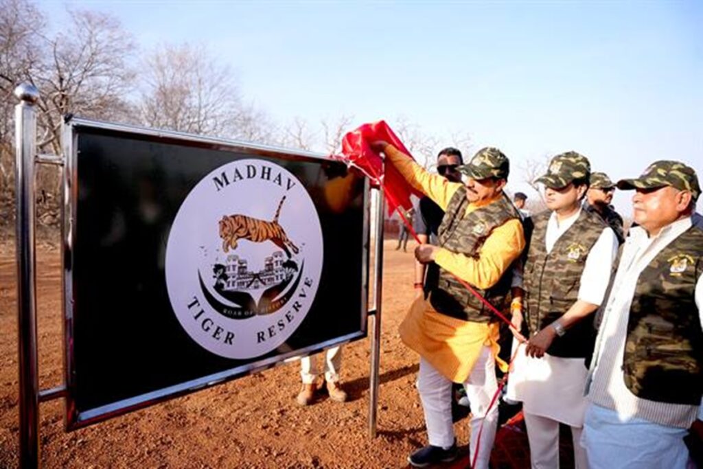 Madhav Tiger Reserve/ Image Credit: MPDPR