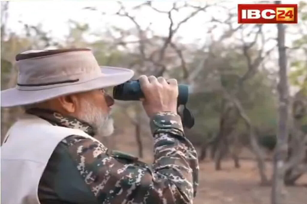 PM Modi Visit Gir National Park/ Image Credit: IBC24 X Handle