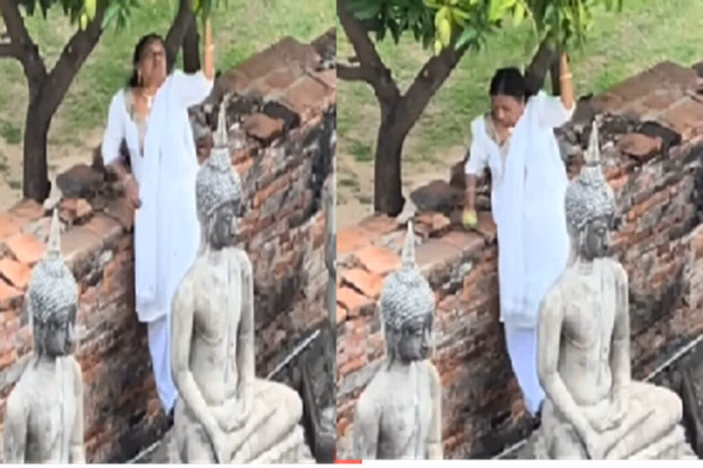 Viral Video/ Image Credit: digital.nomad.info