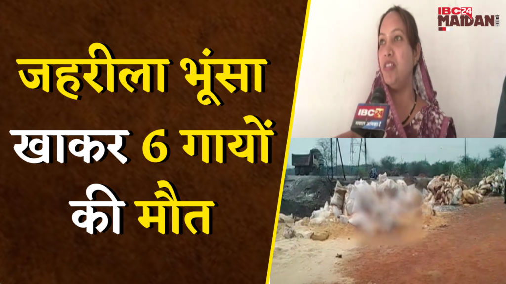 Raipur News