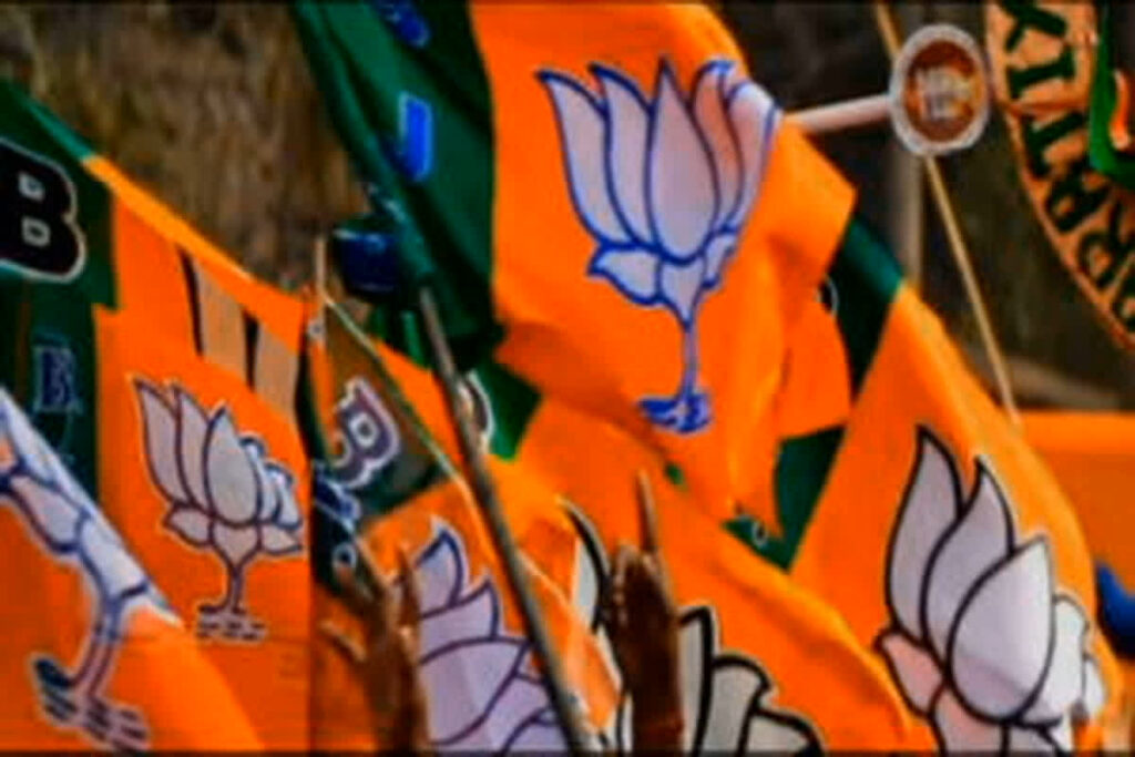 BJP Workshop In Delhi| Image source: IBC24 File Photo